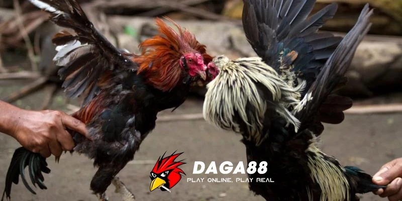 da-ga-88